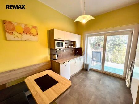 Pronájem kompletně vybaveného bytu 2+1 s lodžií 21 m - Photo 4