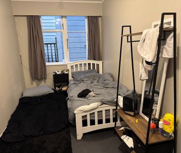 large 3 bedroom sunny apartment in Mt Vic - Photo 5