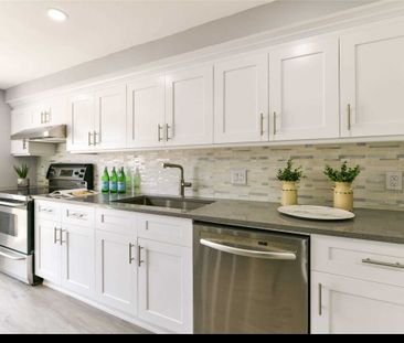 For Lease - 99 Terra Road Unit# Basement, Vaughan, Ontario - Photo 3