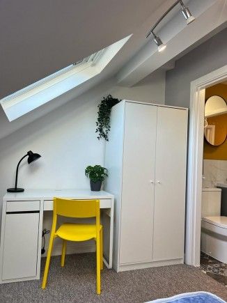 6 Bed, 3 Bath Available Sept 24! - Photo 3