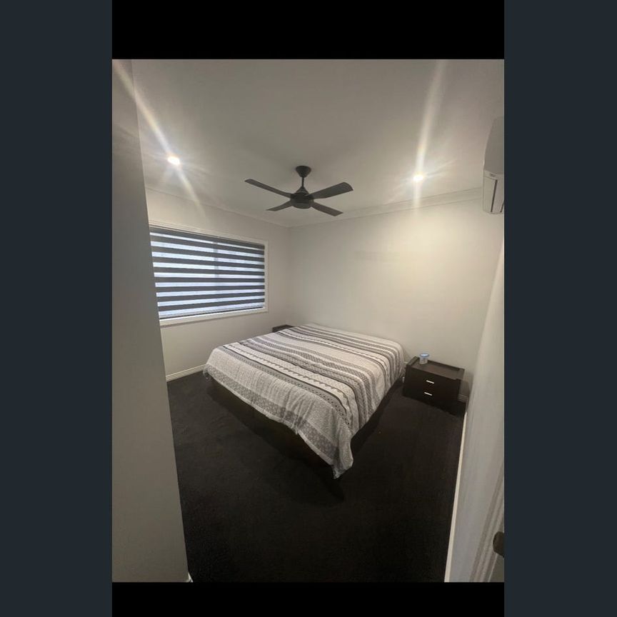 New 4 bedroom 2 bathroom home nestled in the rainforest - Photo 1