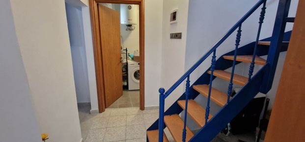 Μονοκατοικία για ενοικίαση Πευκοχώρι (Παλλήνη) - Φωτογραφία 1