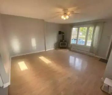 Entire House For Rent - 2 Bed, 1 Bath, 2 Parking, Backyard - South Etobicoke | 38 Milton Street, Toronto - Photo 1