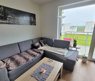 Junges Wohnen in Zistersdorf - Foto 2