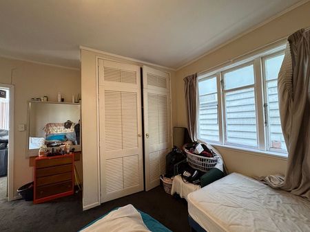 Large Sunny 2 bedroom apartment in Mt Vic - Photo 4