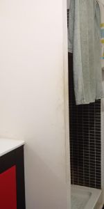 Location Appartement 2 pièces 41m² LE TAMPON 97430 - Photo 3