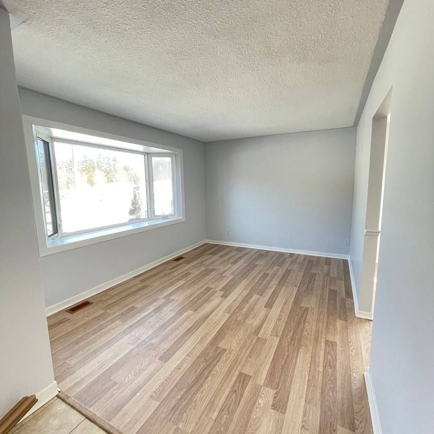 For Lease - 262 Scott Avenue, Newmarket, Ontario - Photo 1