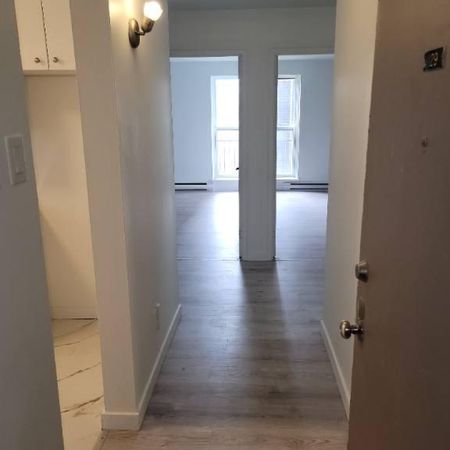 Très Bel Appartement 4 1/2 à Louer - Boulevard Des Sources - DDO - Aussi 3 1/2 - Photo 4