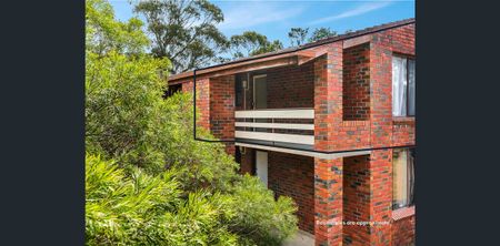 6 / 43 Olinda Grove - Photo 3
