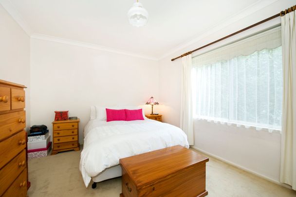 Spacious Sunny Apartment - Photo 1