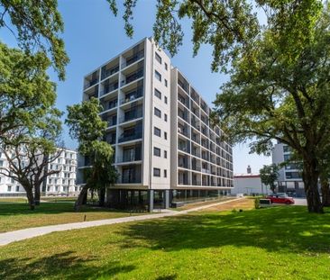 Apartamento T0 - Photo 3