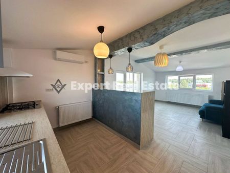 Apartament Spatios 2 Camere-Otopeni-PET FRIENDLY- - Fotografie 5