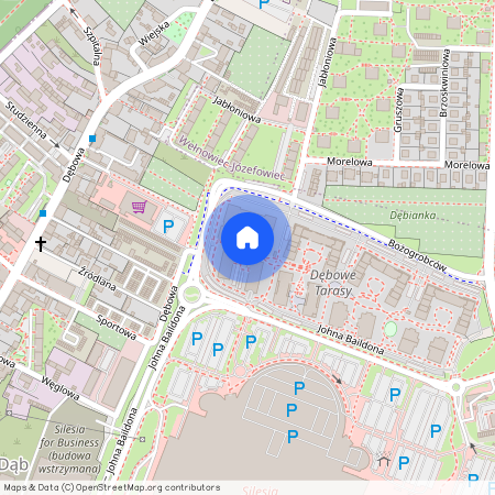 ul. Johna Baildona, Dąb, Katowice, śląskie