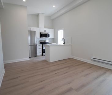 Newly Renovated 1 Bedroom unit in Welland - Photo 6
