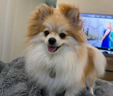 Alexandra Headland - Photo 1