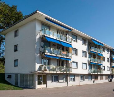 Au coeur de Gimel, appartement rénové de 4 pièces au 3ème étage - Photo 2