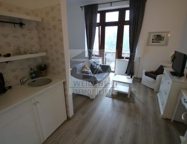 Vollmöbliertes 1 Zimmer Apartment mit großer Terrasse in Gera´s schönster Villa wartet auf Sie! - Foto 1