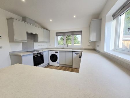 2 bedroom detached bungalow to rent - Photo 4