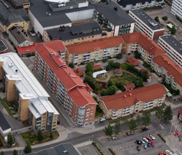 Hamngatan 41 A, 94162, Piteå - Photo 6