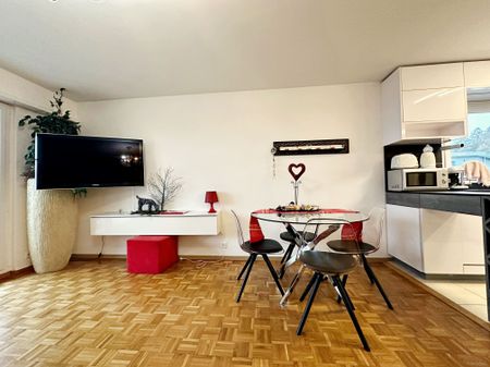 Beau meublé courte durée 2,5p / 1 chambre / Balcon vue lac - Photo 3