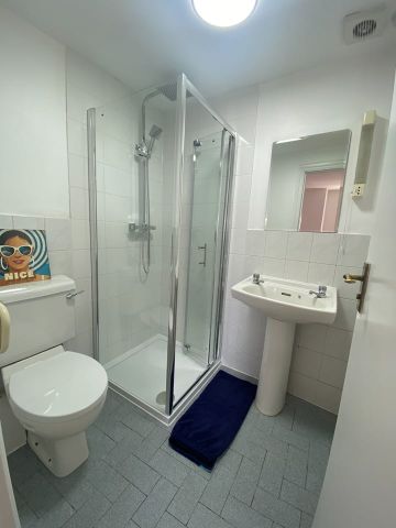 Studio Flat, Lorenzo St, WC1X - Photo 4