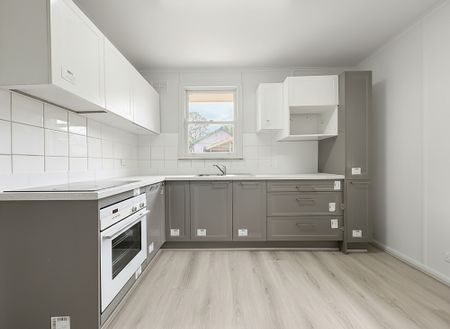 27 Kentucky Road, Riverwood NSW 2210 - House For Rent | Domain - Photo 5