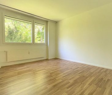 Rent a 5 ½ rooms apartment in Rorschacherberg - Foto 6