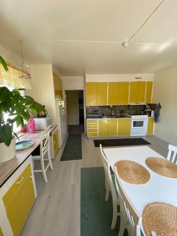 Storsjövägen, Skog - Foto 5