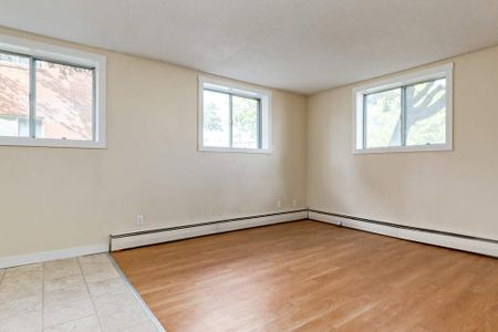 1 Bedroom - Photo 4