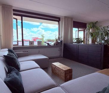 Appartement Spaarndamseweg, Haarlem - À Louer - Photo 2