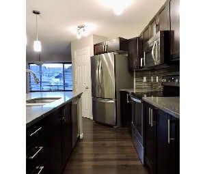3 Bed 2.5 Bath Dbl Garage Home For Rent Edgemont - Photo 3