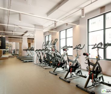650 Wellington - DOMO -Studio, Ville-Marie (Centre-Ville et Vieux-M... - Photo 4