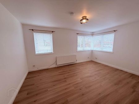 49 Willowfield Street, Belfast, BT6 9AW - Photo 2