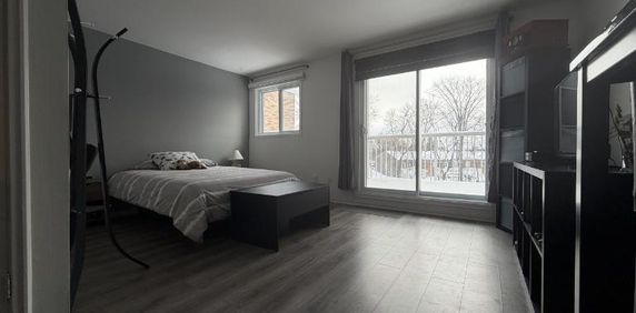 Loft à louer Neufchâtel / Lebourgneuf mars 2026 - Photo 2