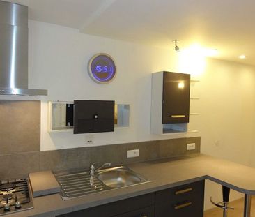 Location Appartement 1 pièce 12m² ST MARTIN D HERES 38400 - Photo 2