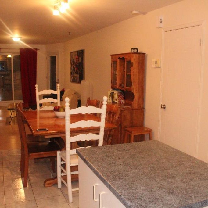 Magnifique 4½ boul Rigaud style condo Disponible 1 Septembre - Photo 1