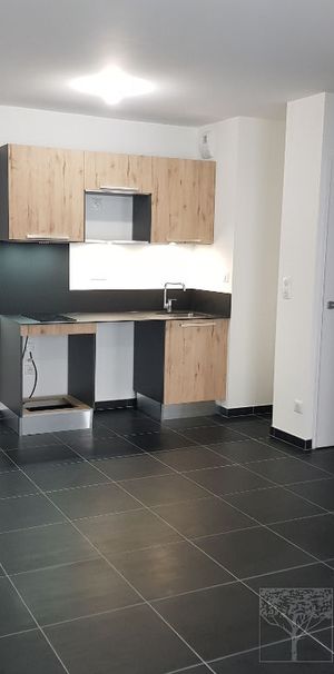 Appartement Montpellier- Aiguelongue 2 pièce(s) 40 m2, - Photo 1