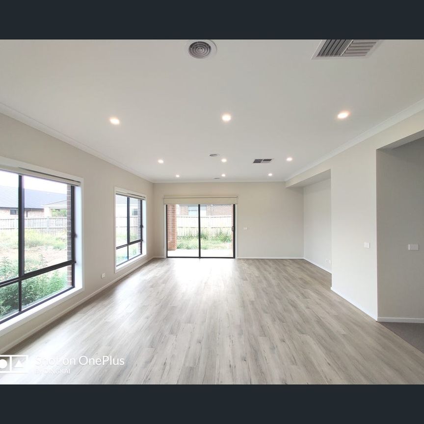 High Quality 4 Bedroom 2 Living Area House! - Photo 1