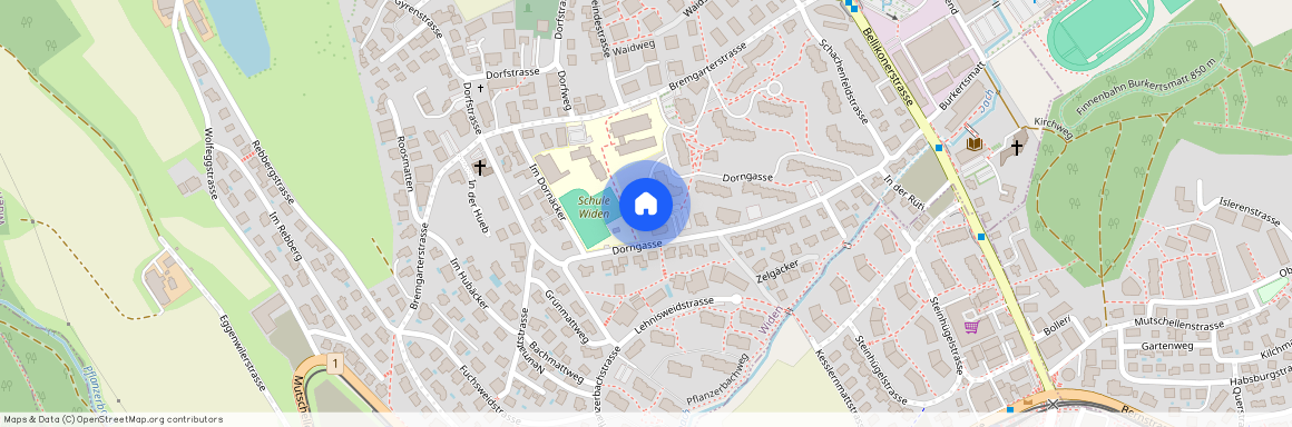 Dorngasse 29, 8967 Widen, Lageplan