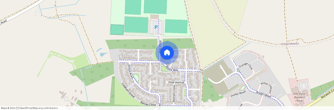 Bray Drive, NR18 0GQ