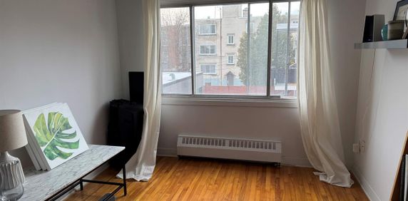 1 CH - 1 SDB - Montréal - $1,395 /mo - Photo 2