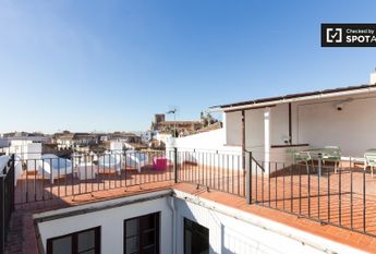 granada, Andalusia 18009