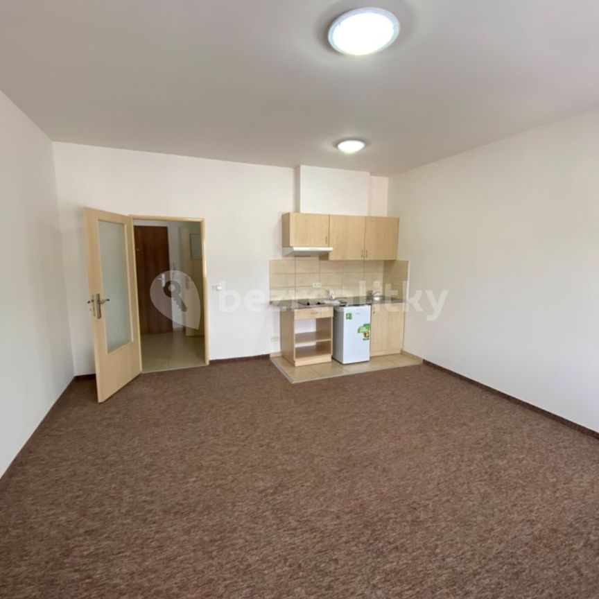 Pronájem bytu 1+kk • 35 m² bez realitkyOtvovice - Otvovice, Středočeský kraj - Photo 1