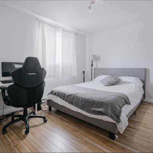 Appartement 3 ½ à louer Vanier juillet 2025 - Photo 1