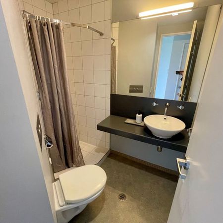 Prime Ponsonby Location! - Photo 4