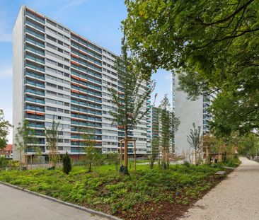 2.5 Zimmer, 56 m², 16. Stock - Foto 4