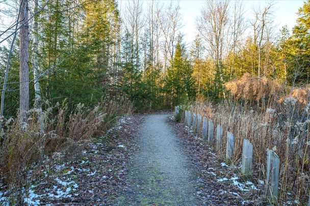 For Lease - 45 FERNDALE Drive Unit# 211, Barrie, Ontario - Photo 1