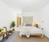 Apt 5.01 :: Ice Plant - Photo 5