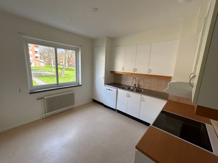 Moldegatan, Borås - Foto 3