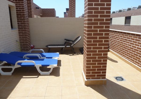 15 Sinergia World II – Id. 428